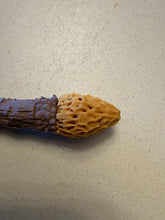 Load image into Gallery viewer, Close-up of the Frogman mini wand’s mustard-yellow openwork tip and its connection to the brown shaft.
